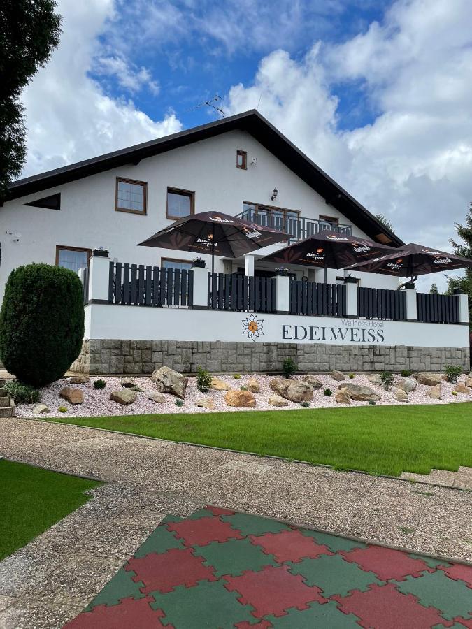 Hotel Wellness Edelweiss Reichenberg